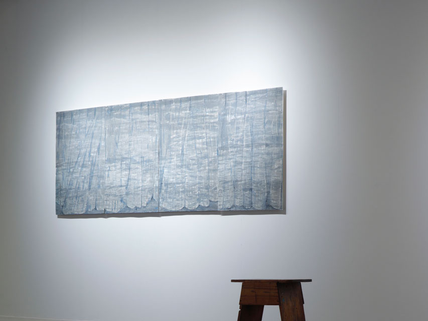 【測鉛をおろす　中桐聡美/山田真美 二人展】の写真